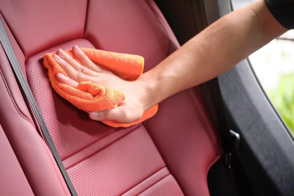 paint protection and interior protection